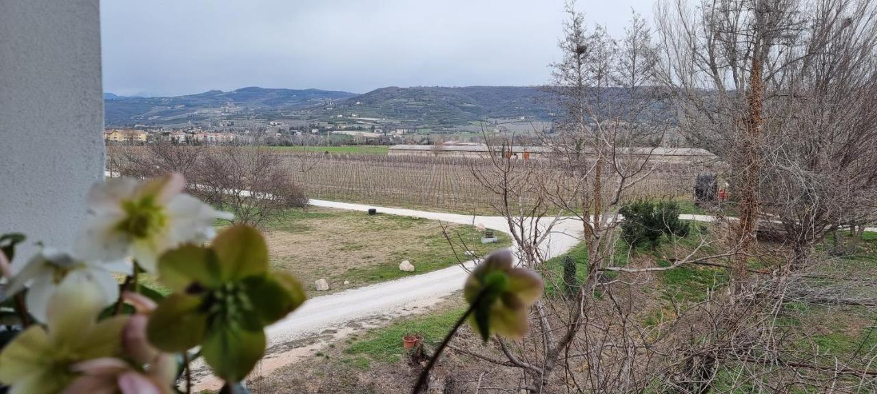 Agriturismo Alle Albare Montorio Veronese المظهر الخارجي الصورة