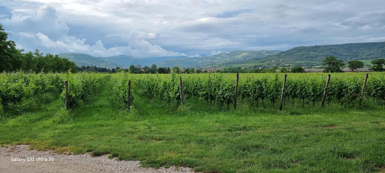 Agriturismo Alle Albare Montorio Veronese المظهر الخارجي الصورة